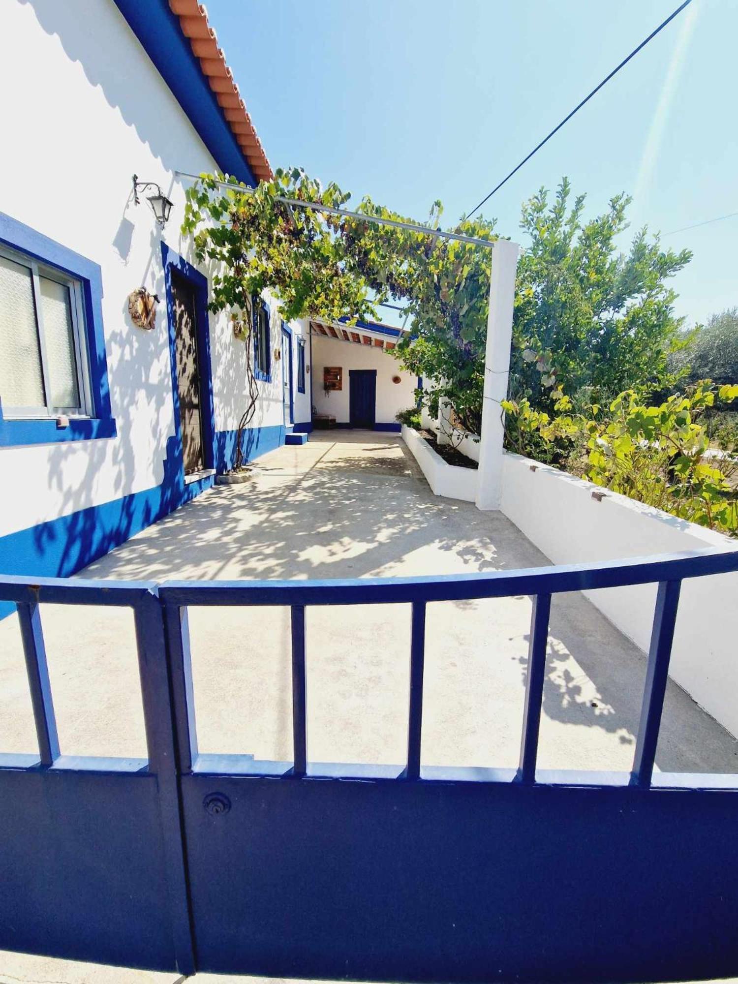 Salgueira  Casa Dos Martelitos 빌라 외부 사진