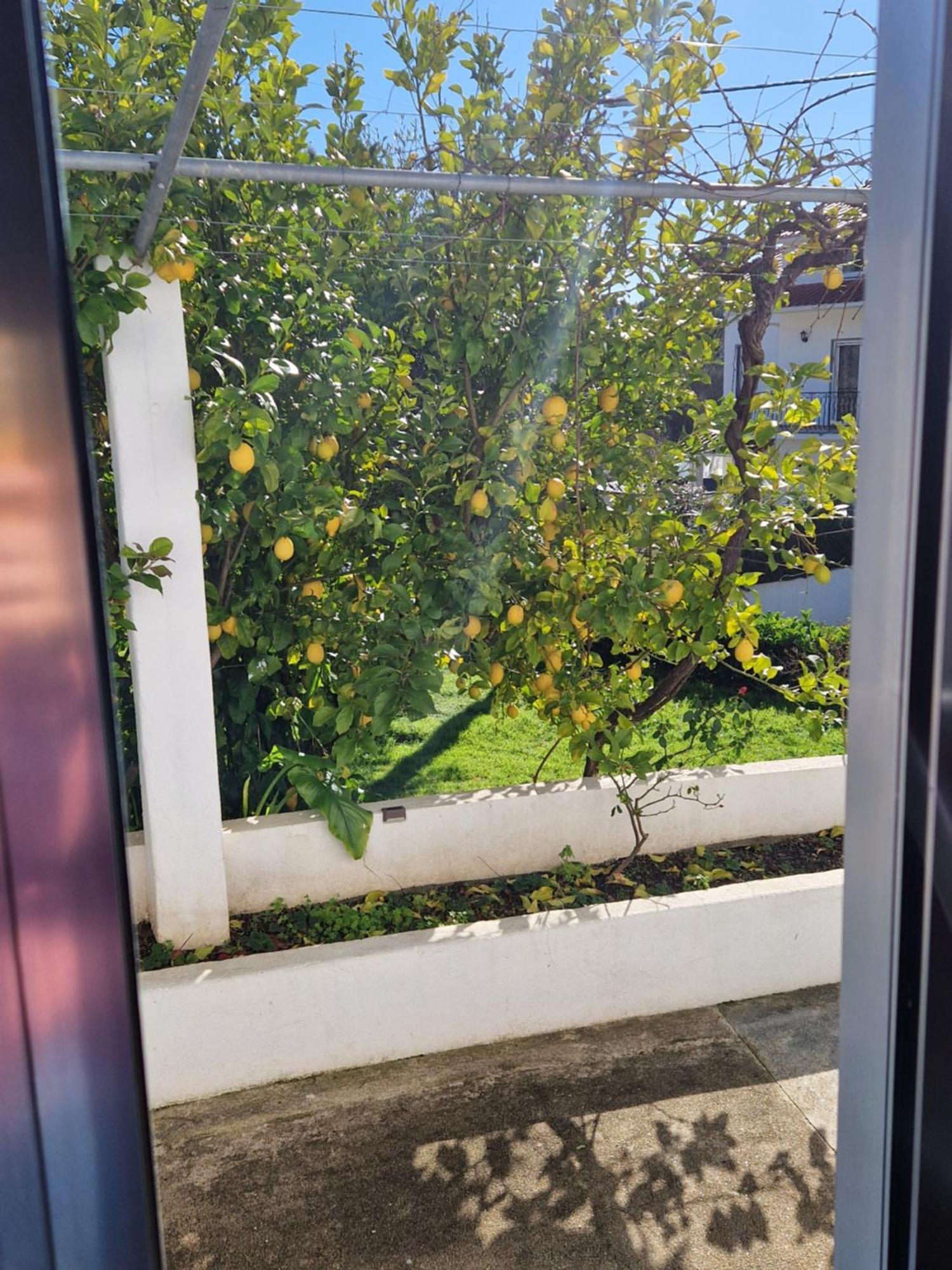 Salgueira  Casa Dos Martelitos 빌라 외부 사진